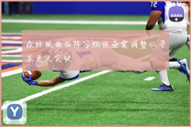 森林狼面临阵容瓶颈亟需调整以寻求更大突破