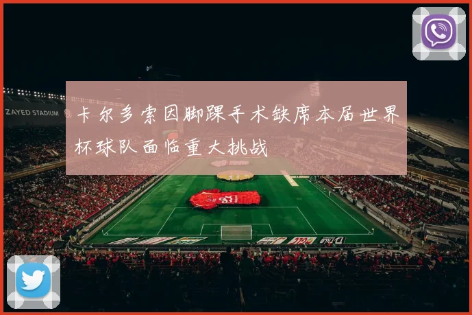 卡尔多索因脚踝手术缺席本届世界杯球队面临重大挑战