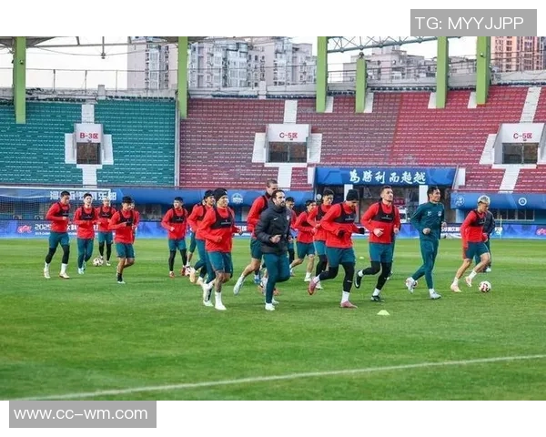 河南队明日启程昆明备战徐浩峰王金帅重返阵容助力球队 河南队明日启程昆明备战徐浩峰王金帅重返阵容助力球队