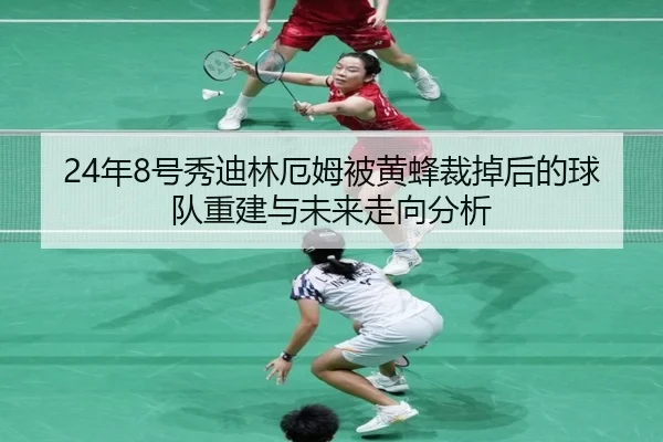 24年8号秀迪林厄姆被黄蜂裁掉后的球队重建与未来走向分析（WMSPORTS）
