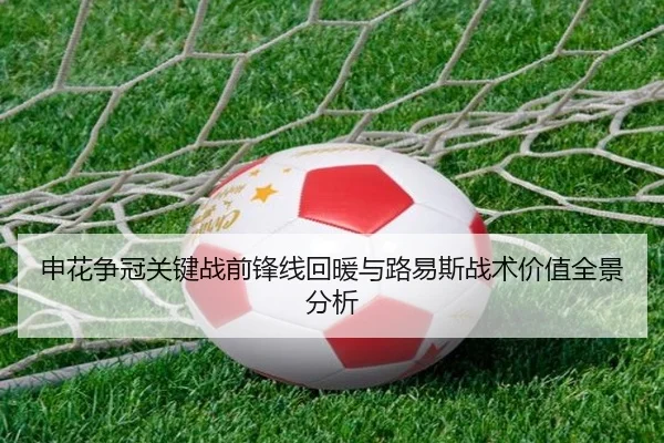申花争冠关键战前锋线回暖与路易斯战术价值全景分析 | WMSPORTS